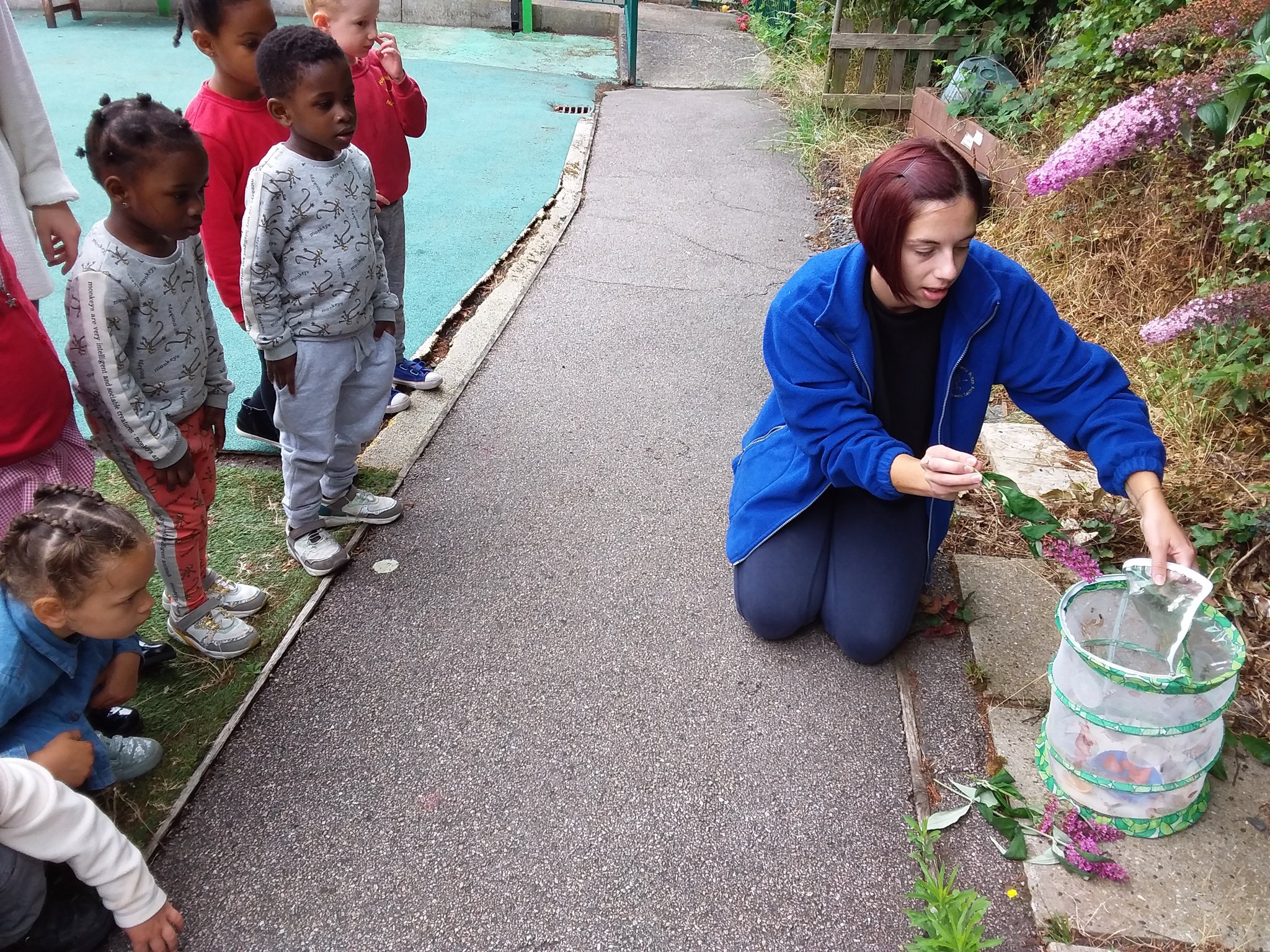 Image of Butterfly Release