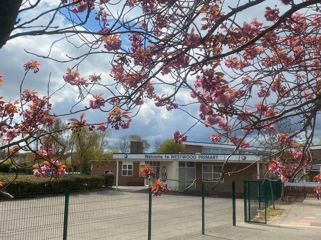 Image of Westwood Primary School maintains its ‘Good’ Ofsted rating