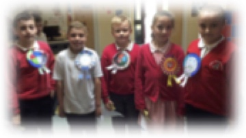 Image of Grove Primary : House Captain Election