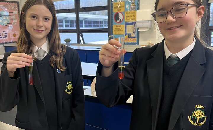 Image of We Are ALDER: February 2026