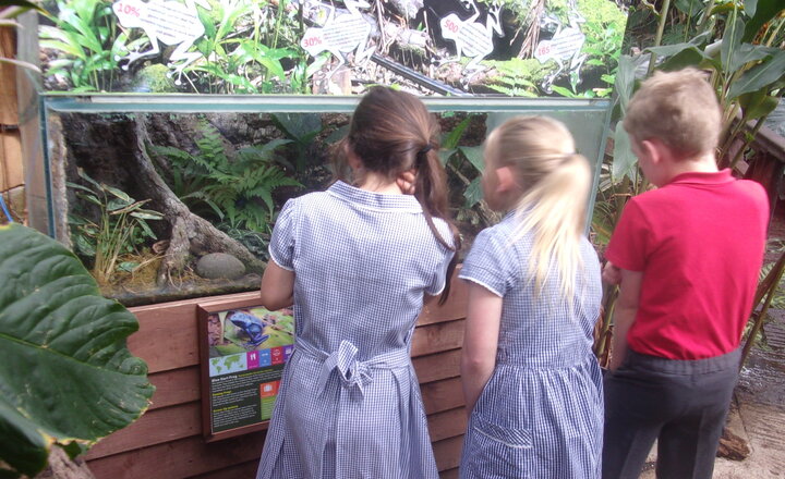 Image of Owls visit The Living Rainforest