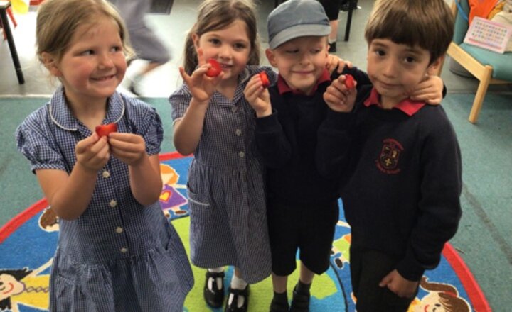 Image of Strawberry Harvest 