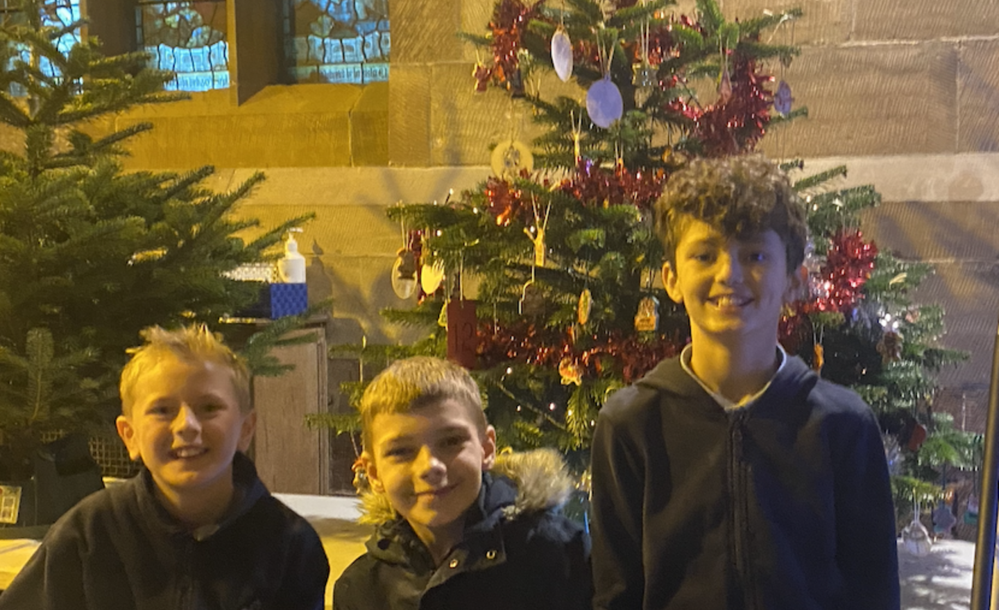 Image of Christmas Tree Festival