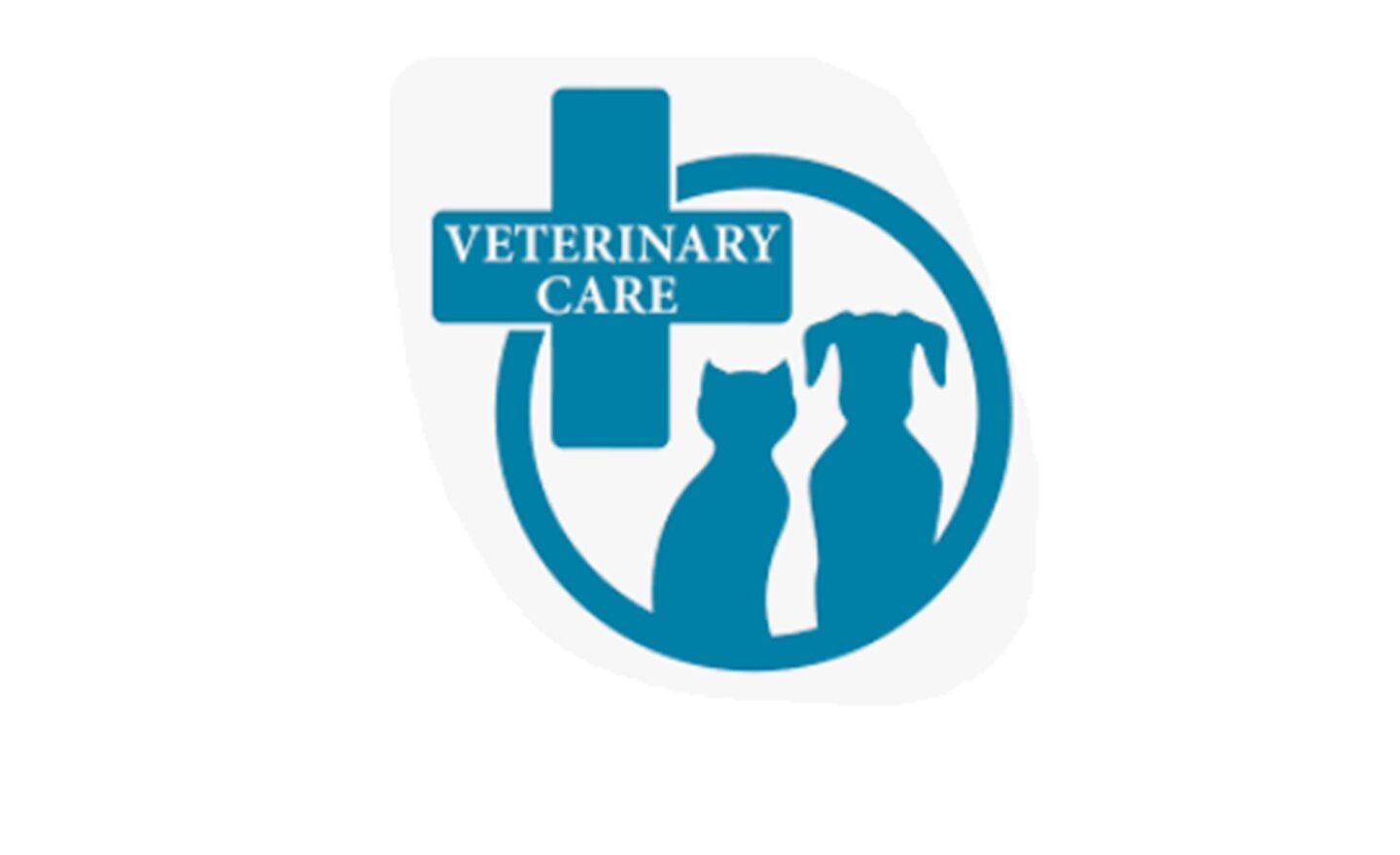 Image of Vet Visit 