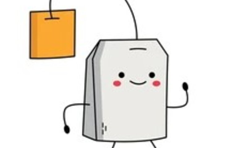 Image of Class 3 Science - flying teabags!