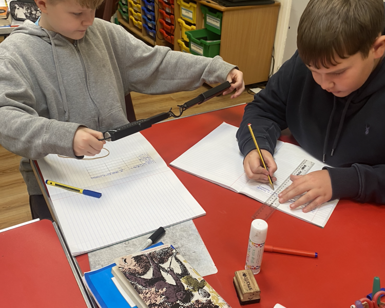 Image of Exploring and measuring forces