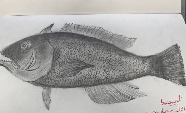 Image of Year 7 Dive into Art with Observational Drawing