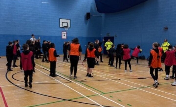 Image of Interhouse - Bench ball