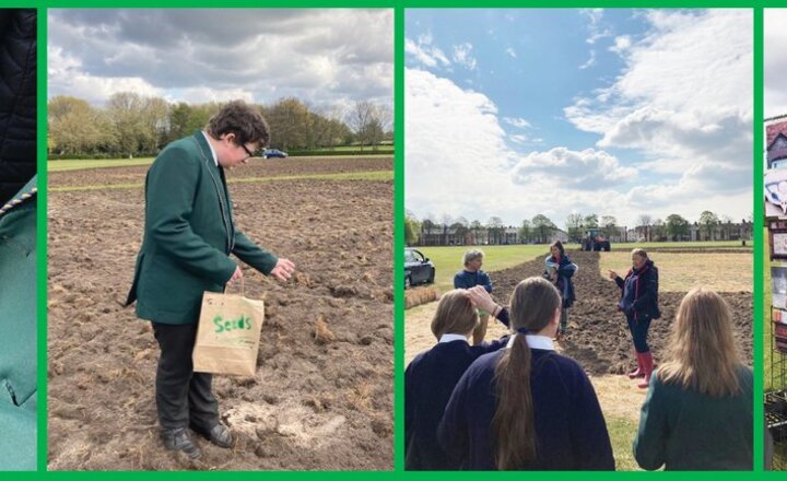 Image of Sowing Seeds of Hope at Alsop