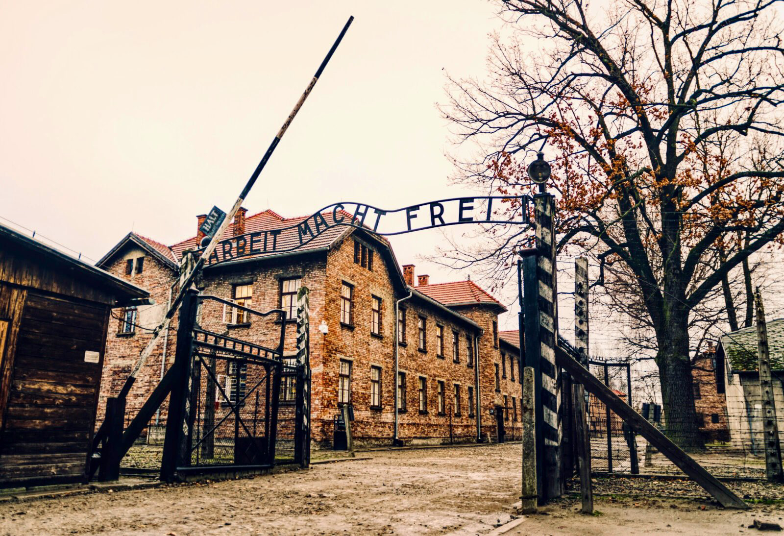 Image of Year 13 Auschwitz visit