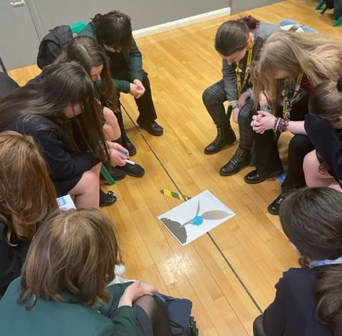 Image of Mental Health Workshops at Alsop High School