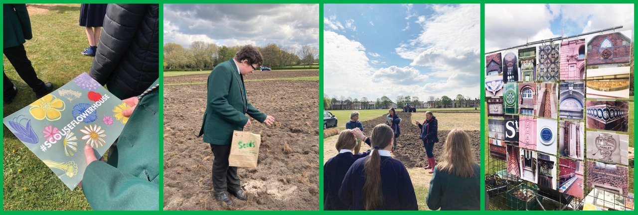 Image of Sowing Seeds of Hope at Alsop