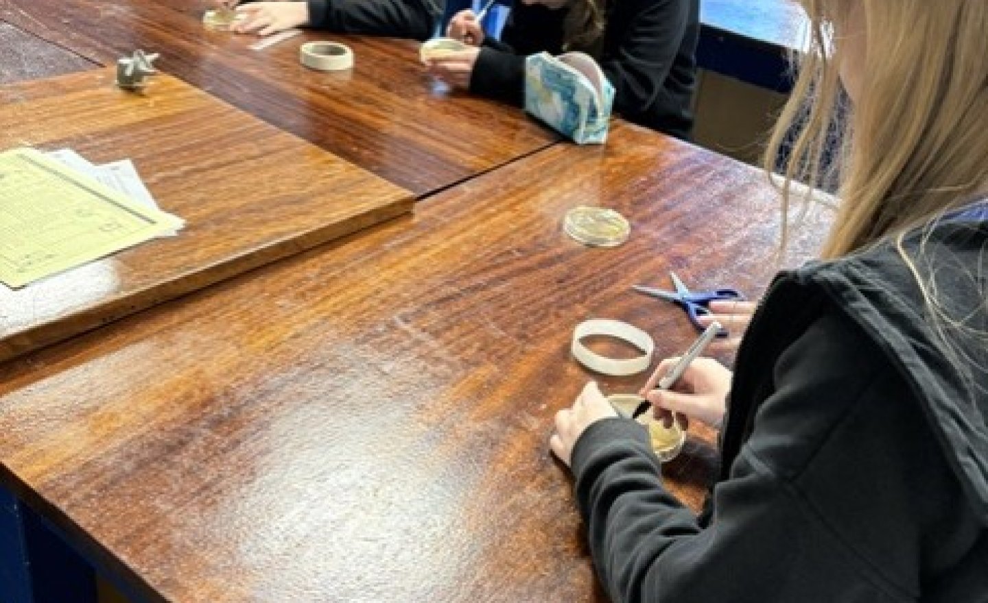 Image of Microbe required practical