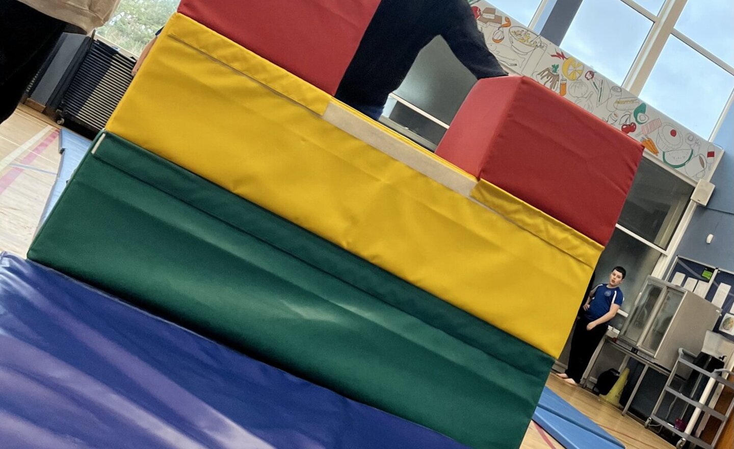 Image of Vaulting and Trampolining