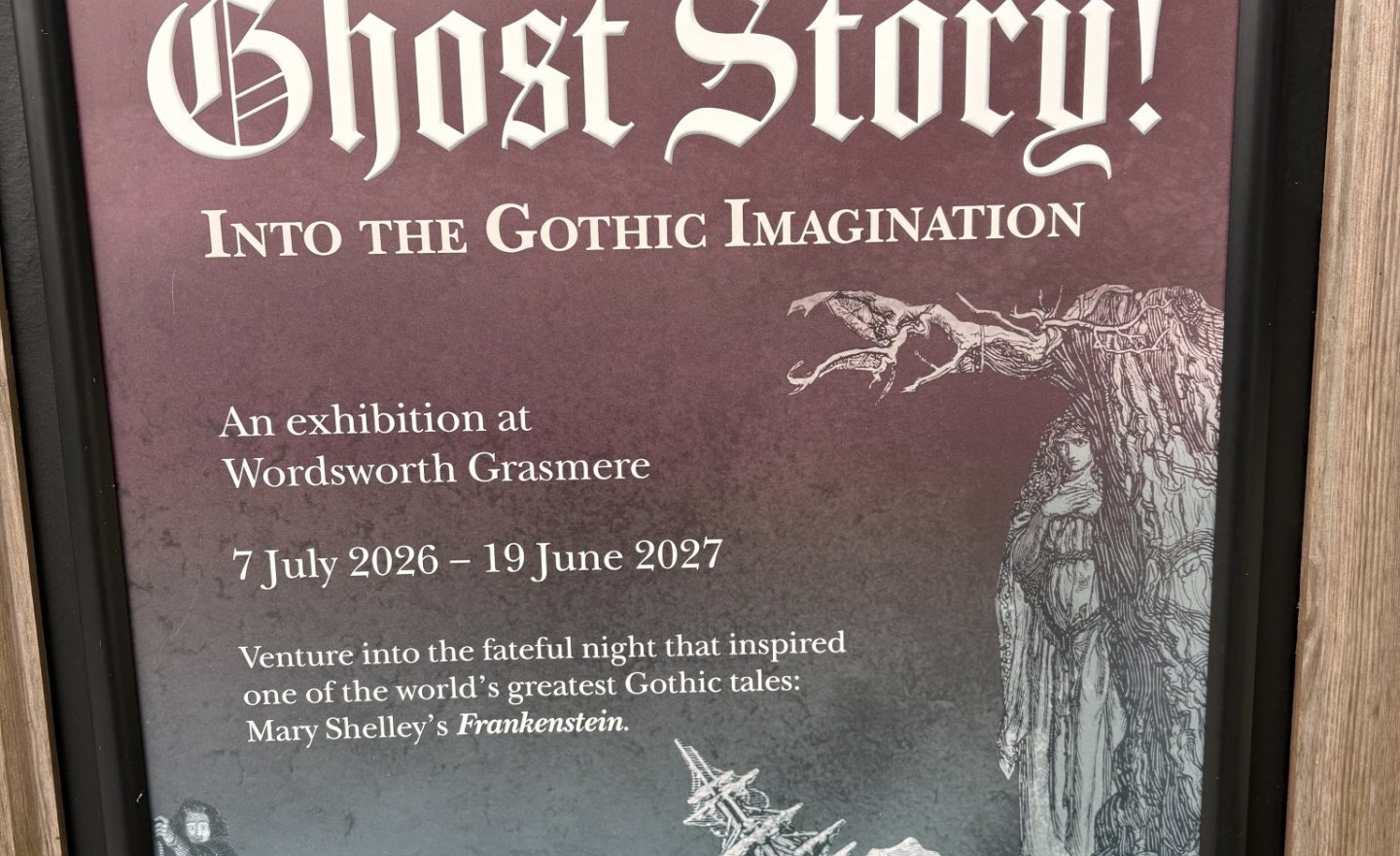 Image of Introducing the Gothic