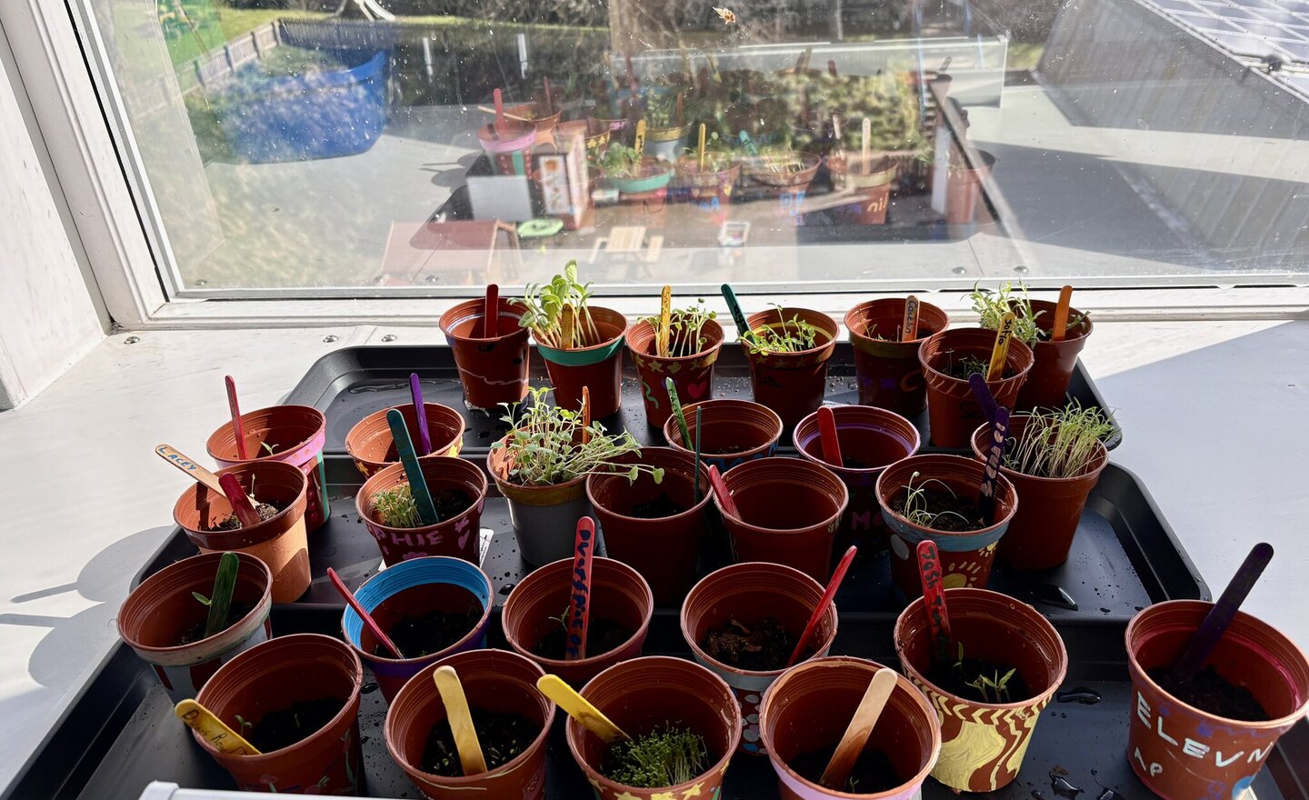 Image of Our Food room kitchen garden!