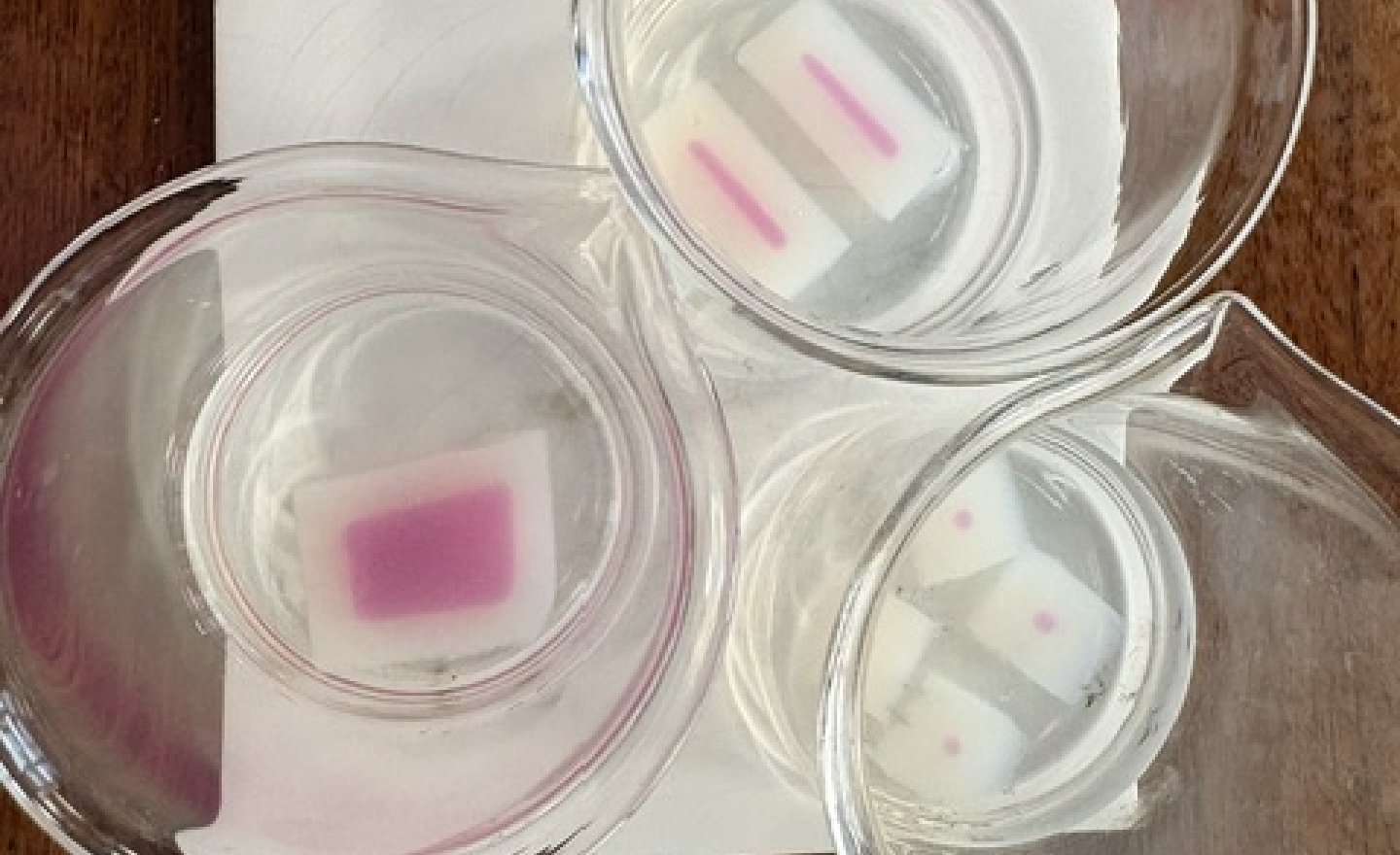 Image of The affect of surface area on diffusion - stage 2