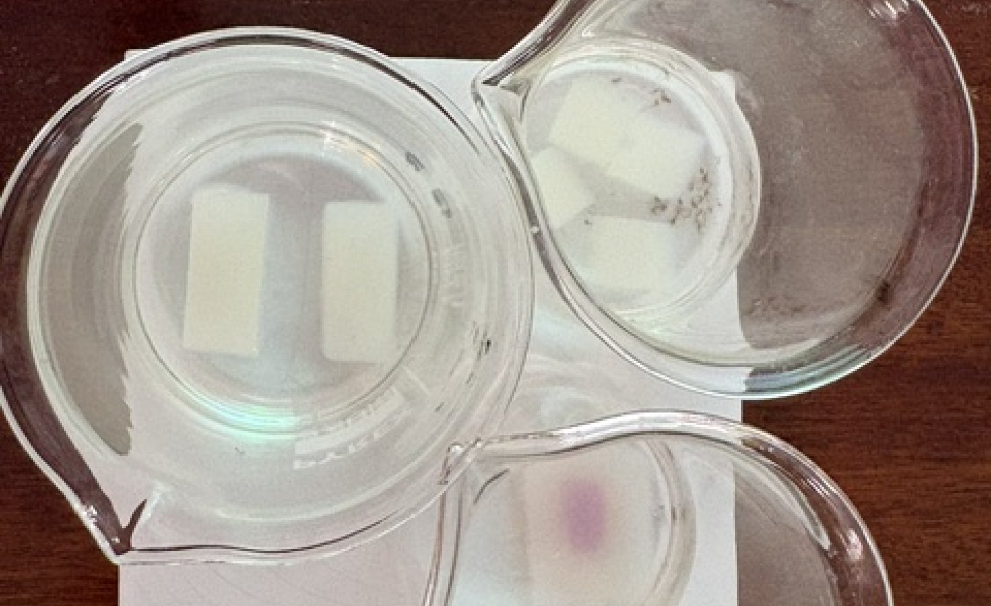 Image of The affect of surface area on diffusion - stage 3