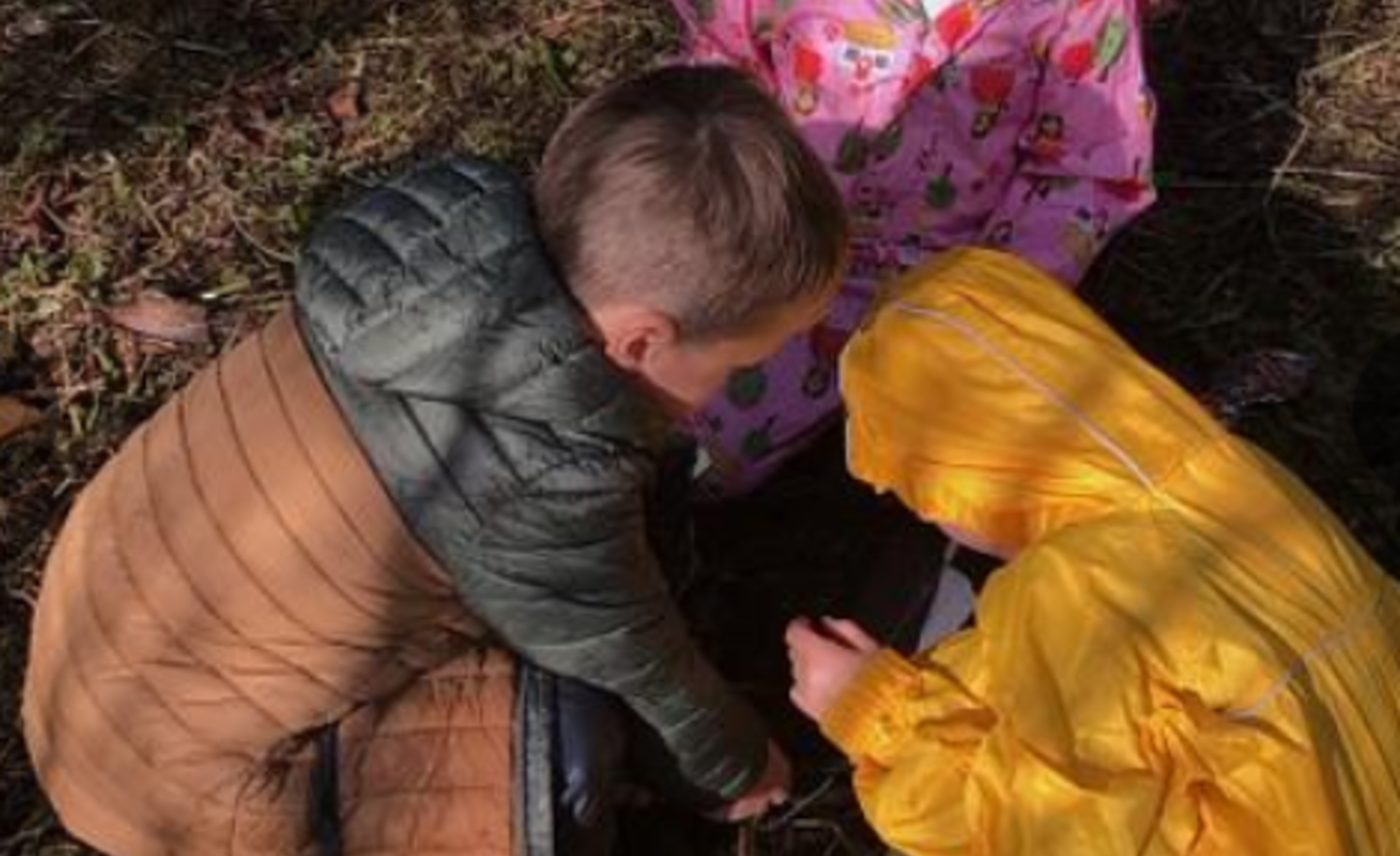 Image of Outdoor learning