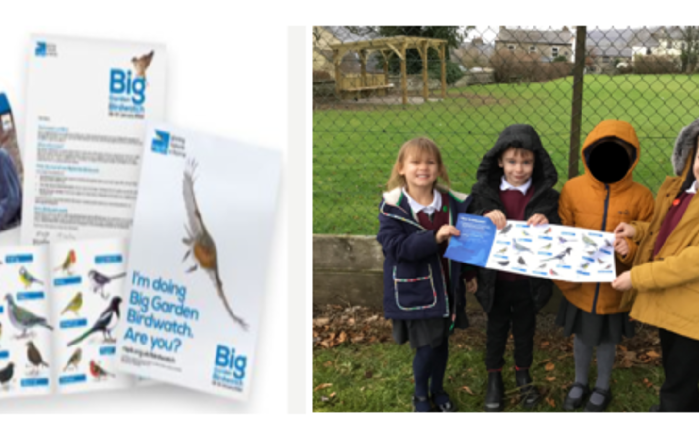 Image of RSPB's Big Birdwatch