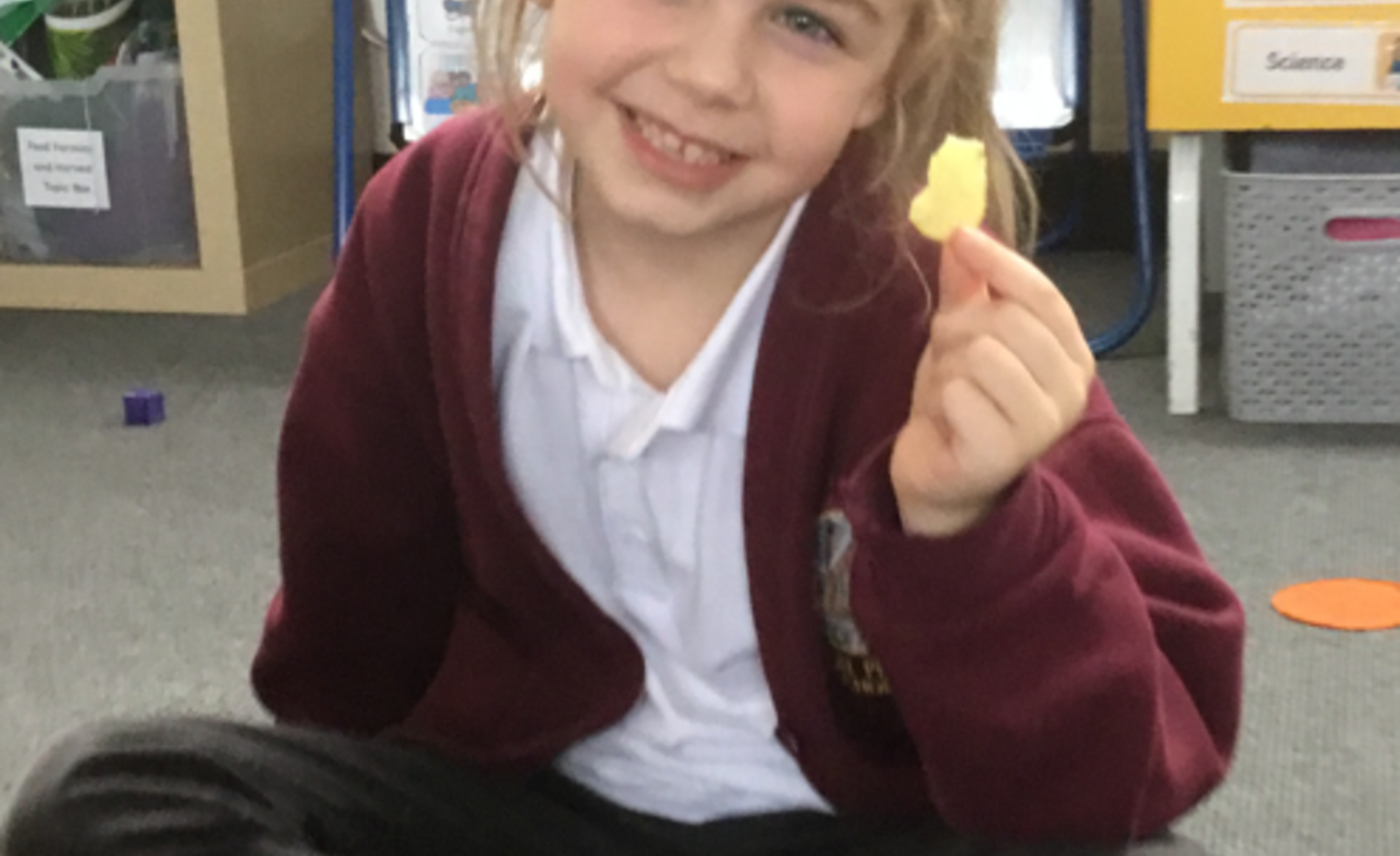 Image of Using our senses- crisp experiment! What flavour crisps do you have?