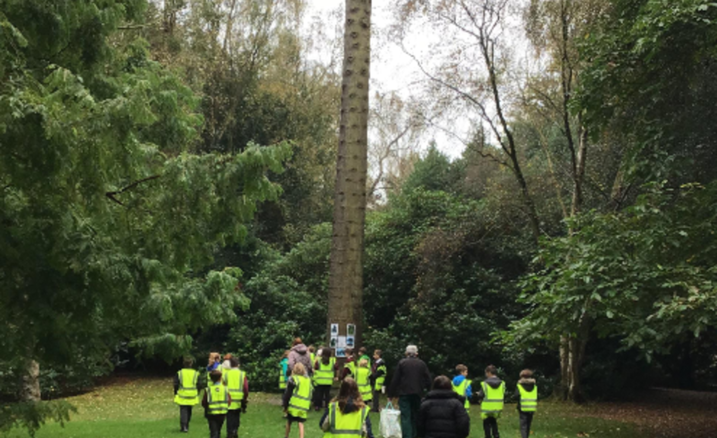 Image of Flinty's Botanic Gardens trip