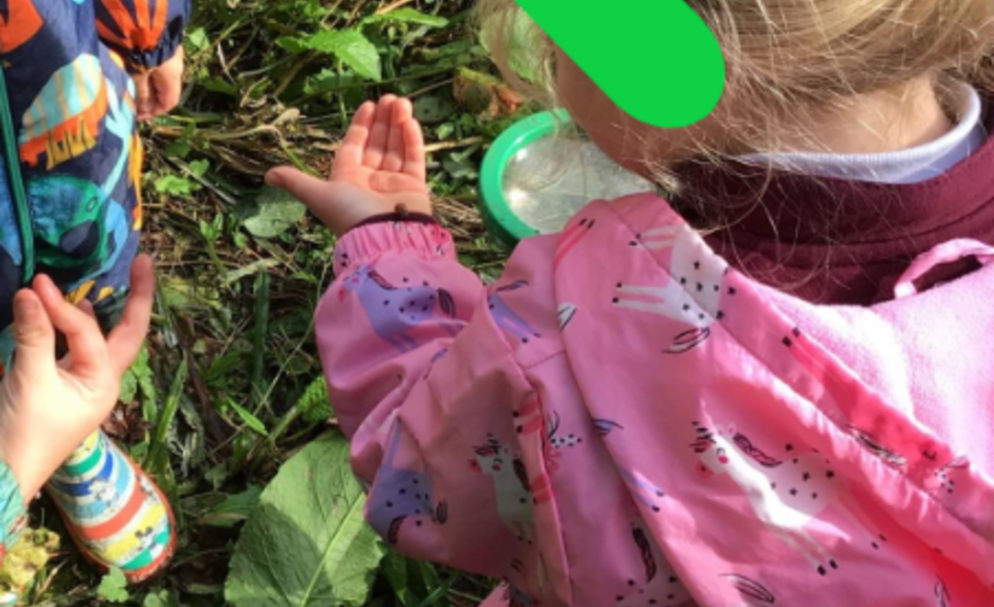 Image of Park Fell's Forest School fun