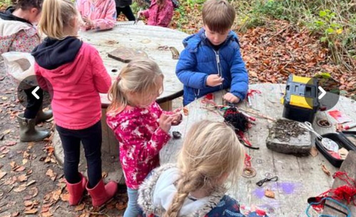 Image of Forest school