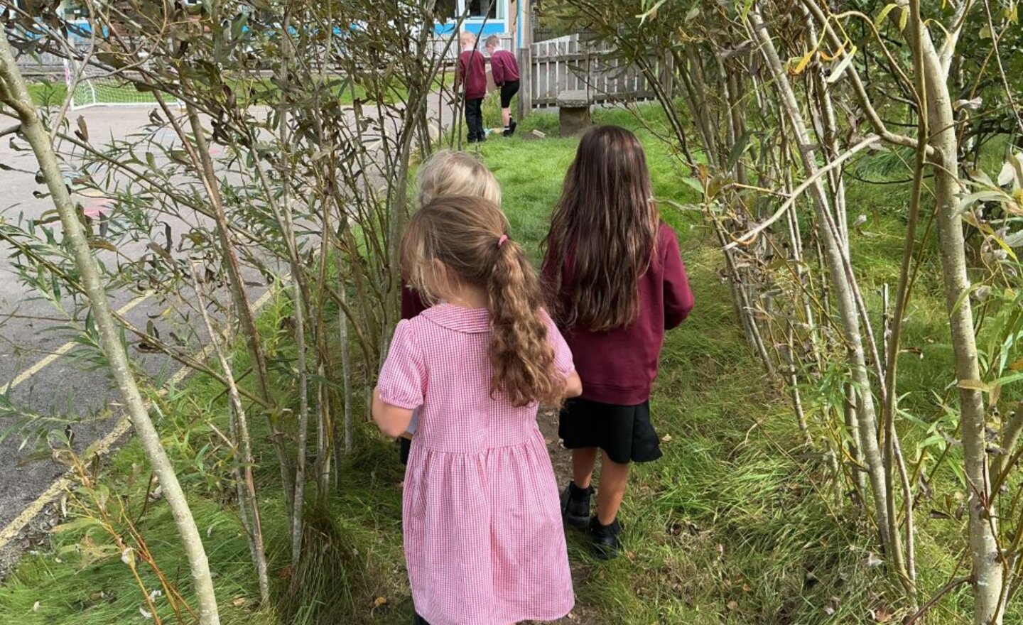 Image of Exploring our school grounds