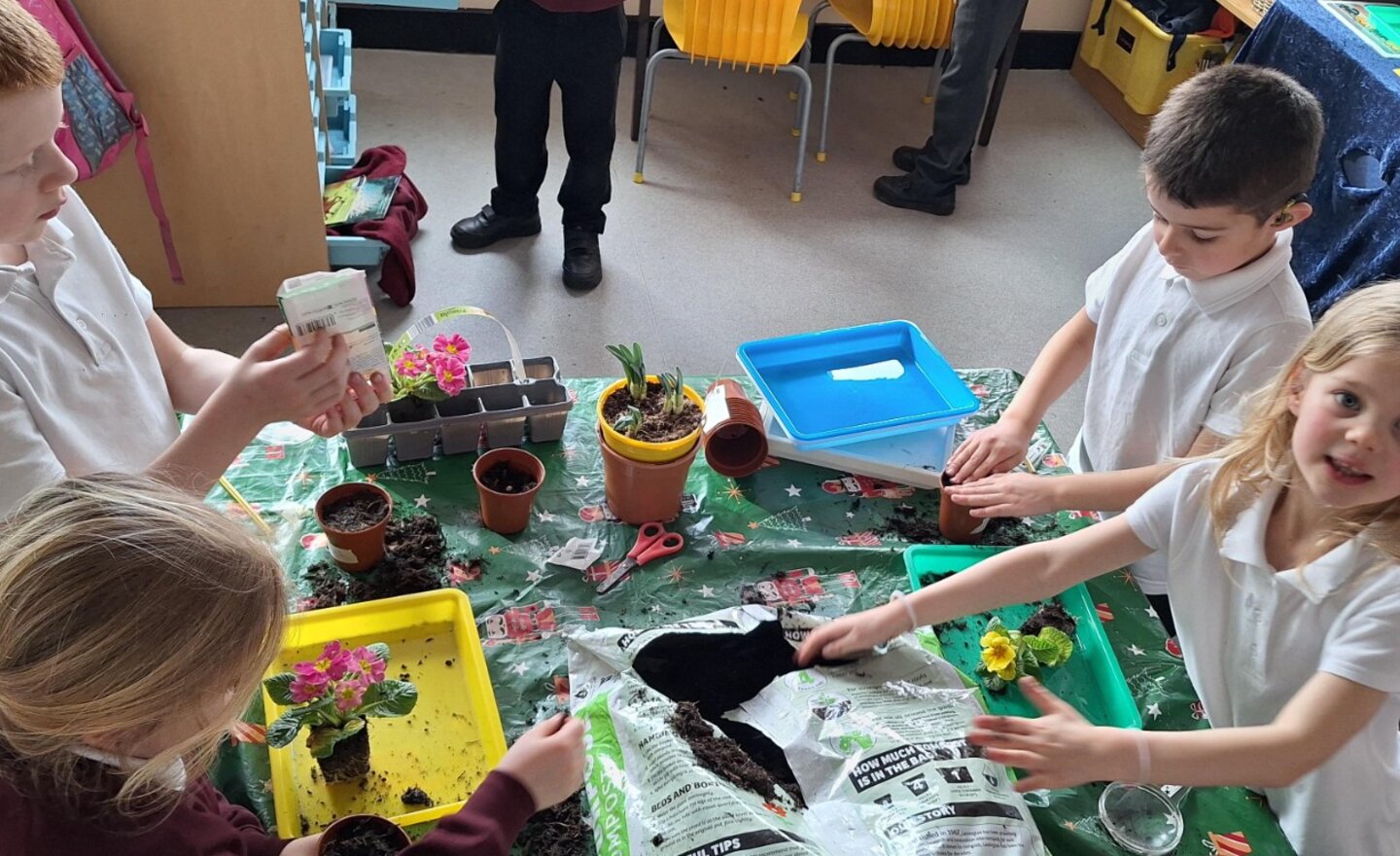 Image of Planting in Cross Fell