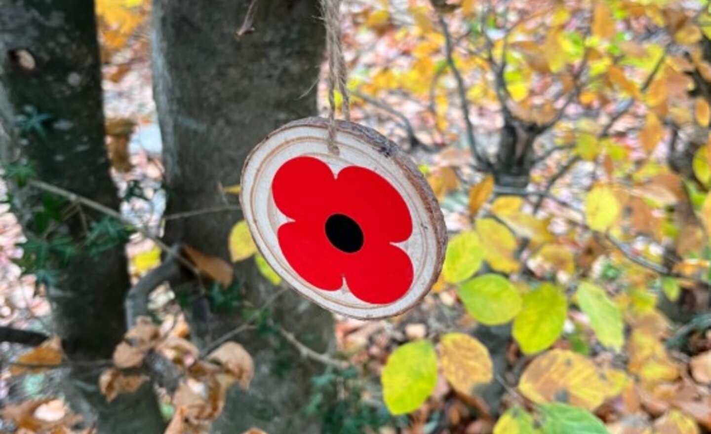 Image of Poppy day