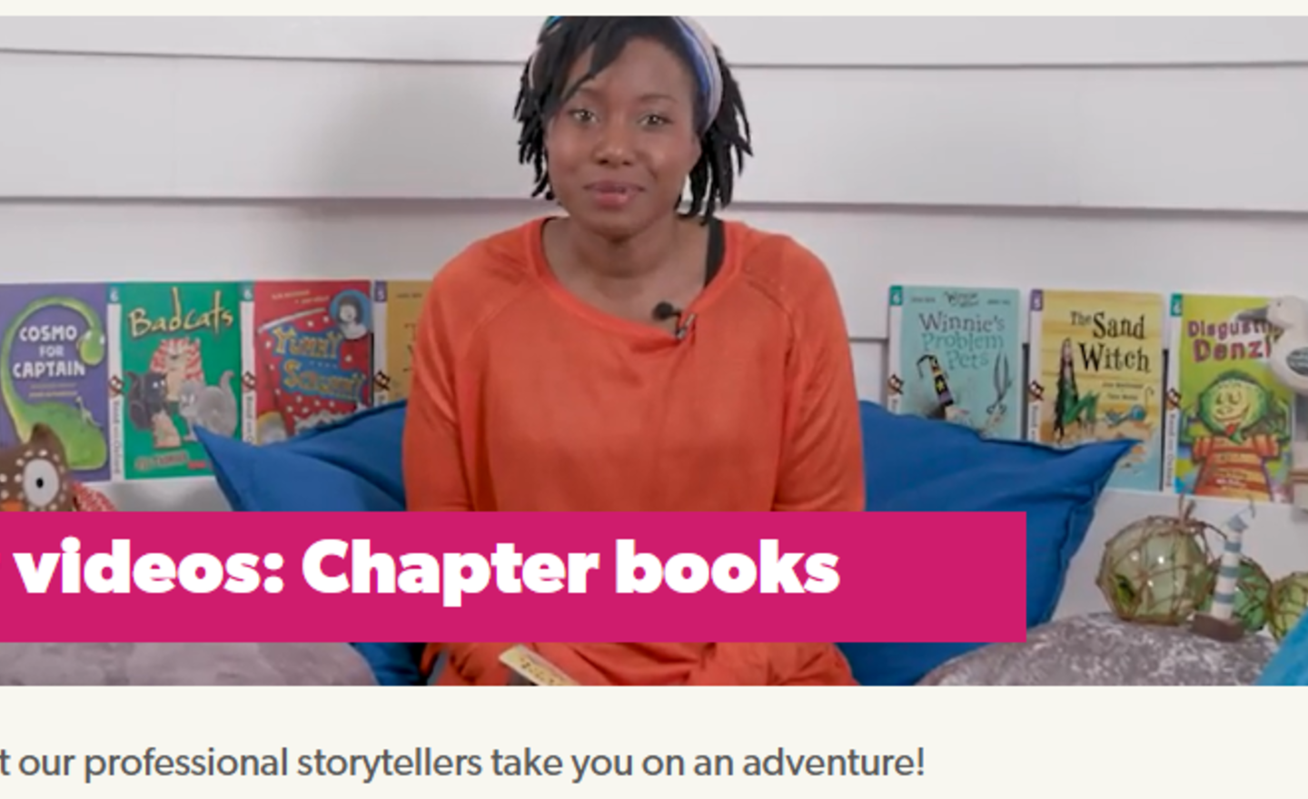 Image of Storyteller videos- chapter books