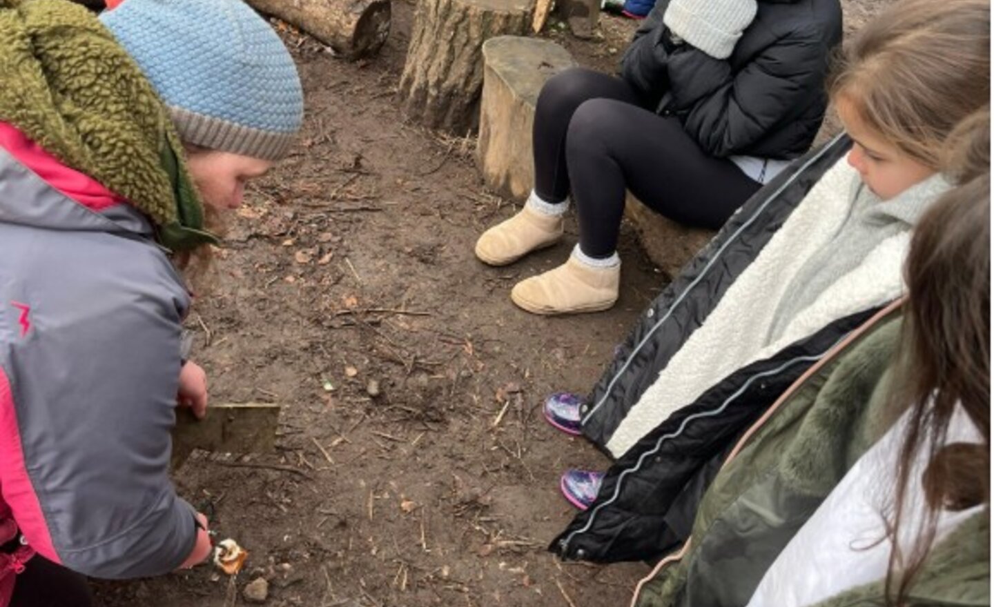 Image of Forest school 