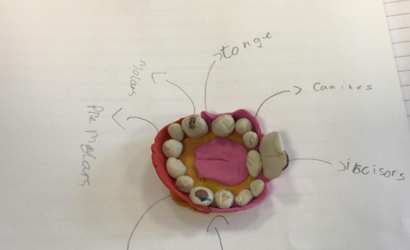 Image of Middle Fell's Teeth investigation