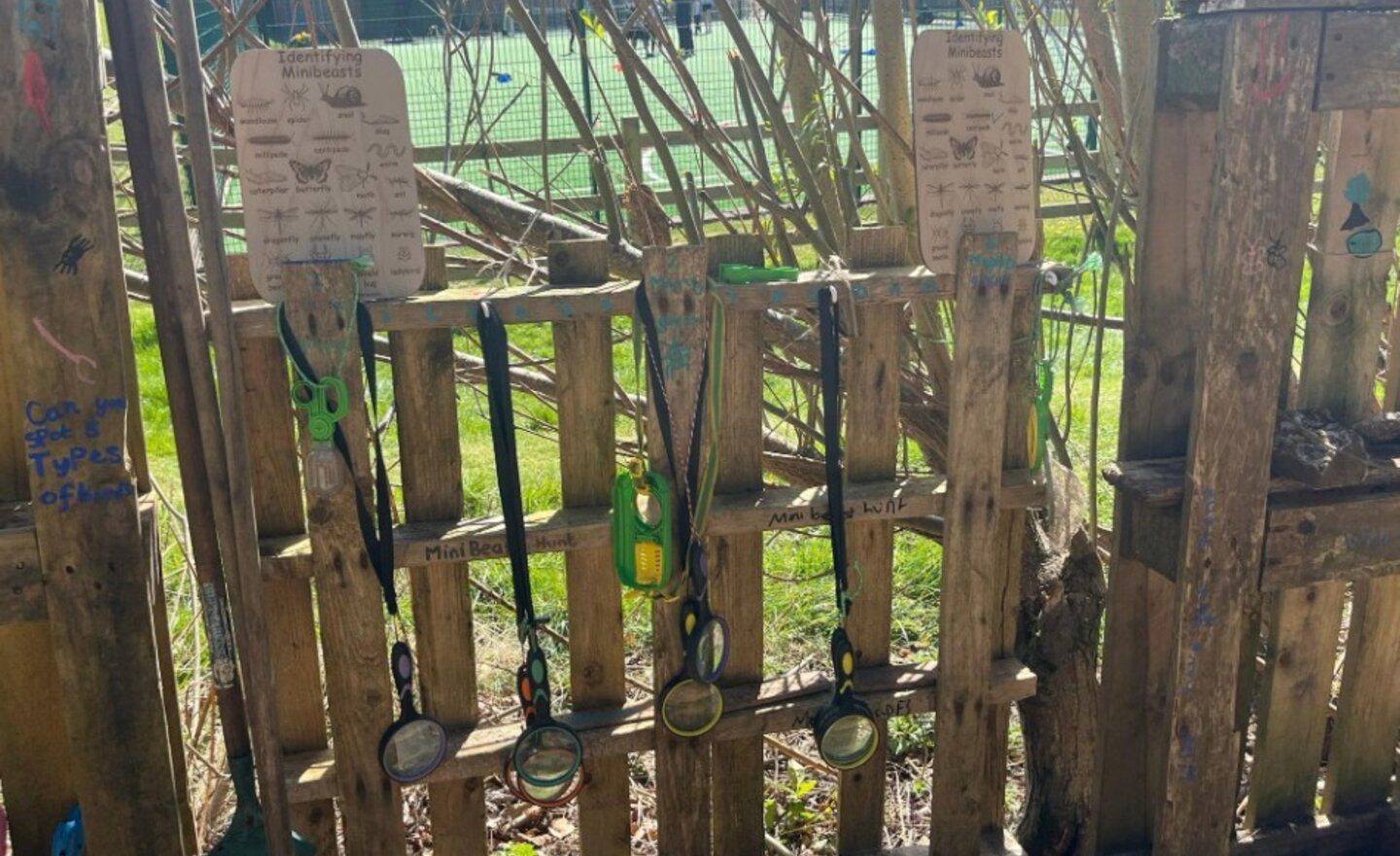 Image of New and improved forest school!
