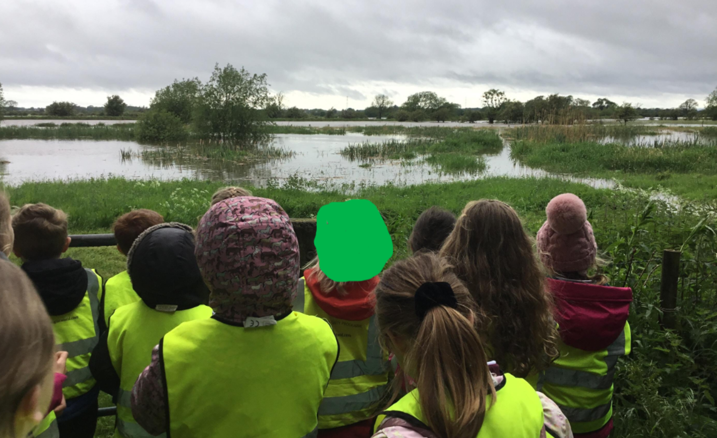 Image of Cross Fell's trip to the wetlands