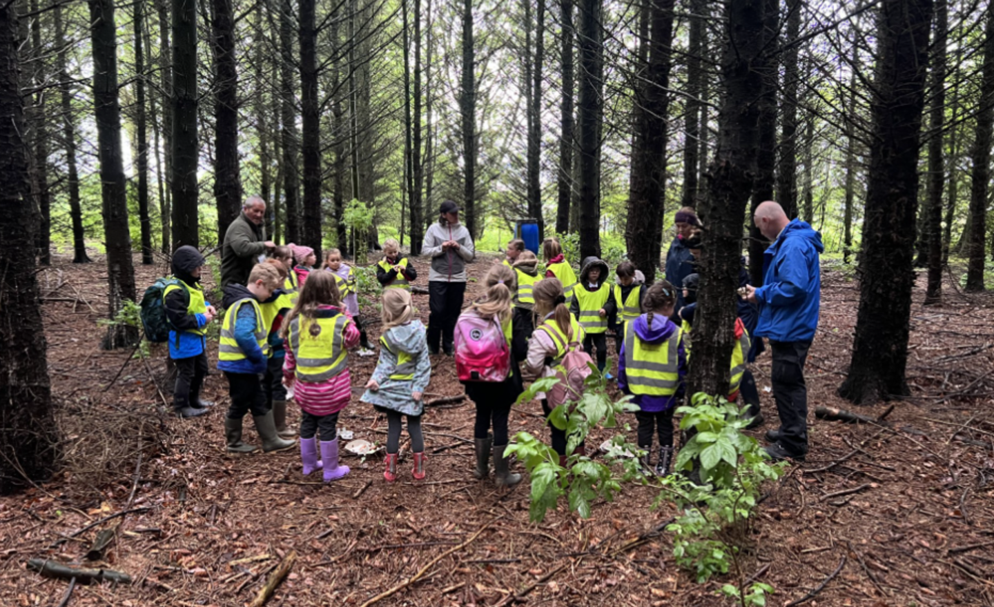 Image of Cross Fell's trip to the wetlands