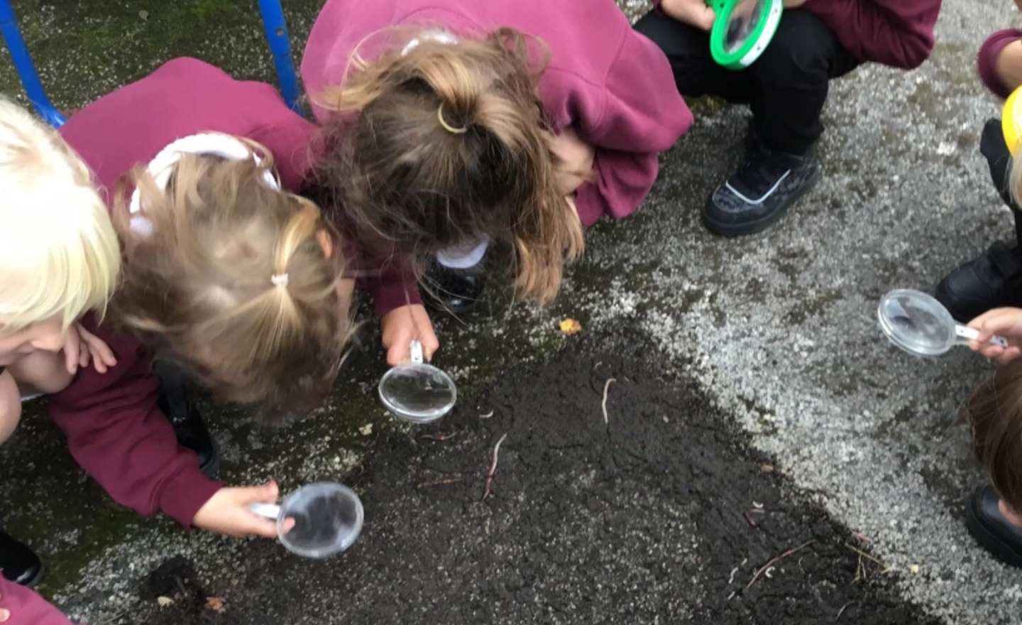 Image of Habitat explorers