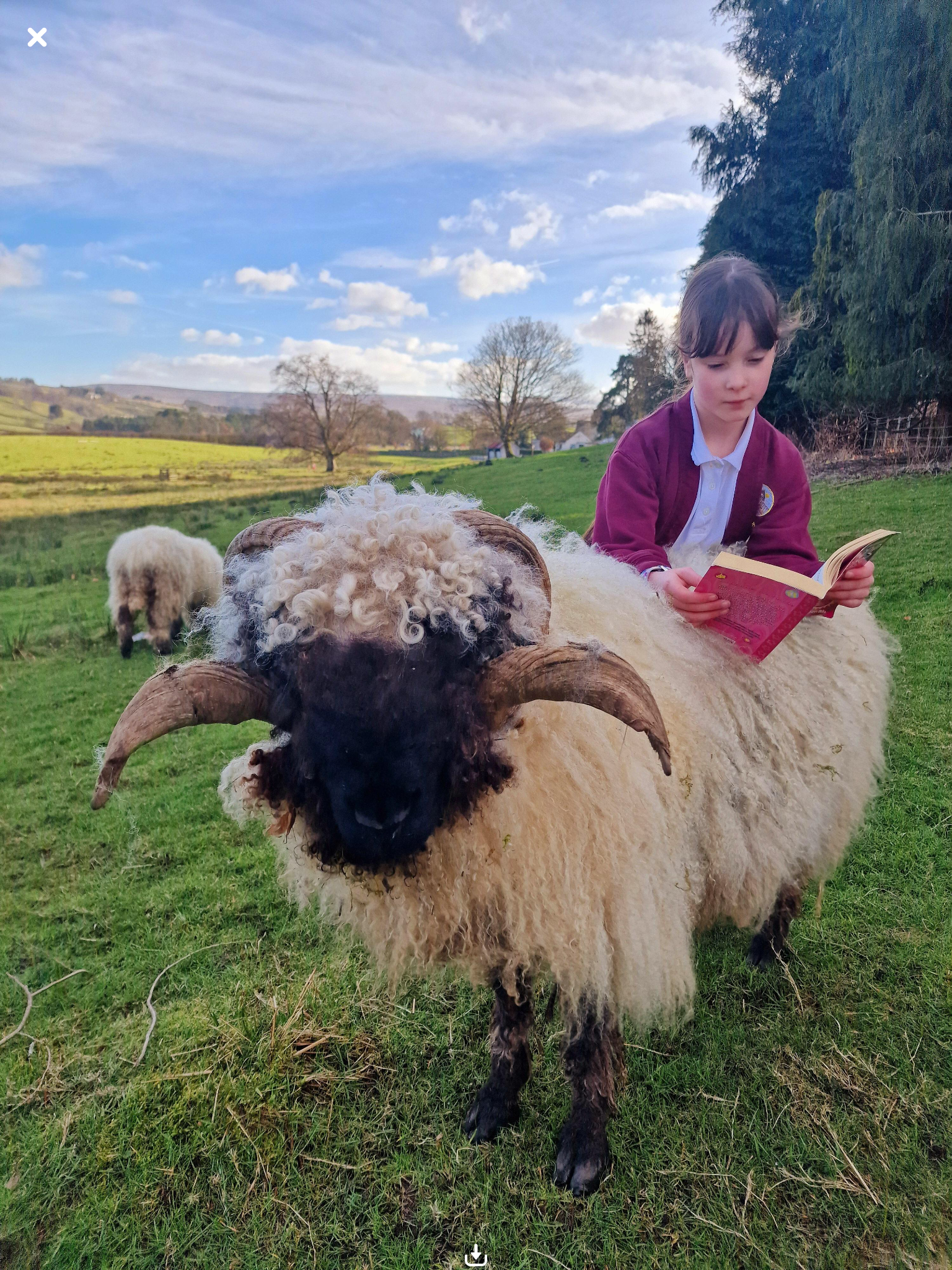 Image of World Book Day Ready!