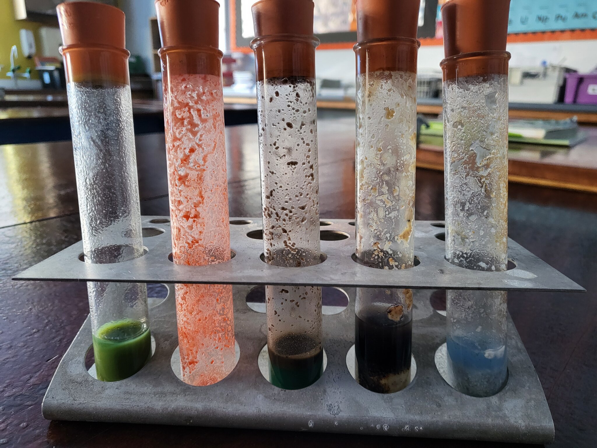 Image of Food test practical