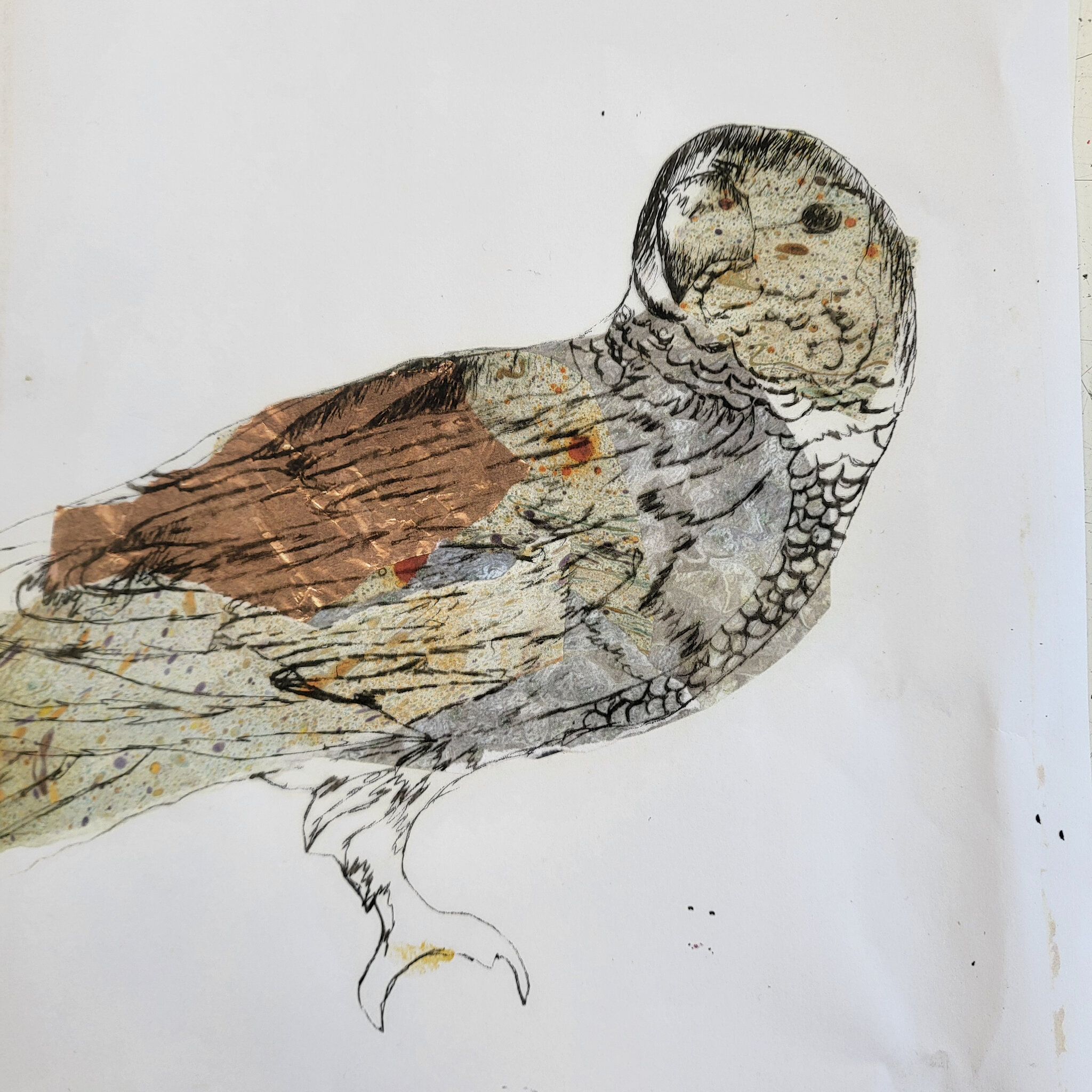 Image of GCSE Acetate work.