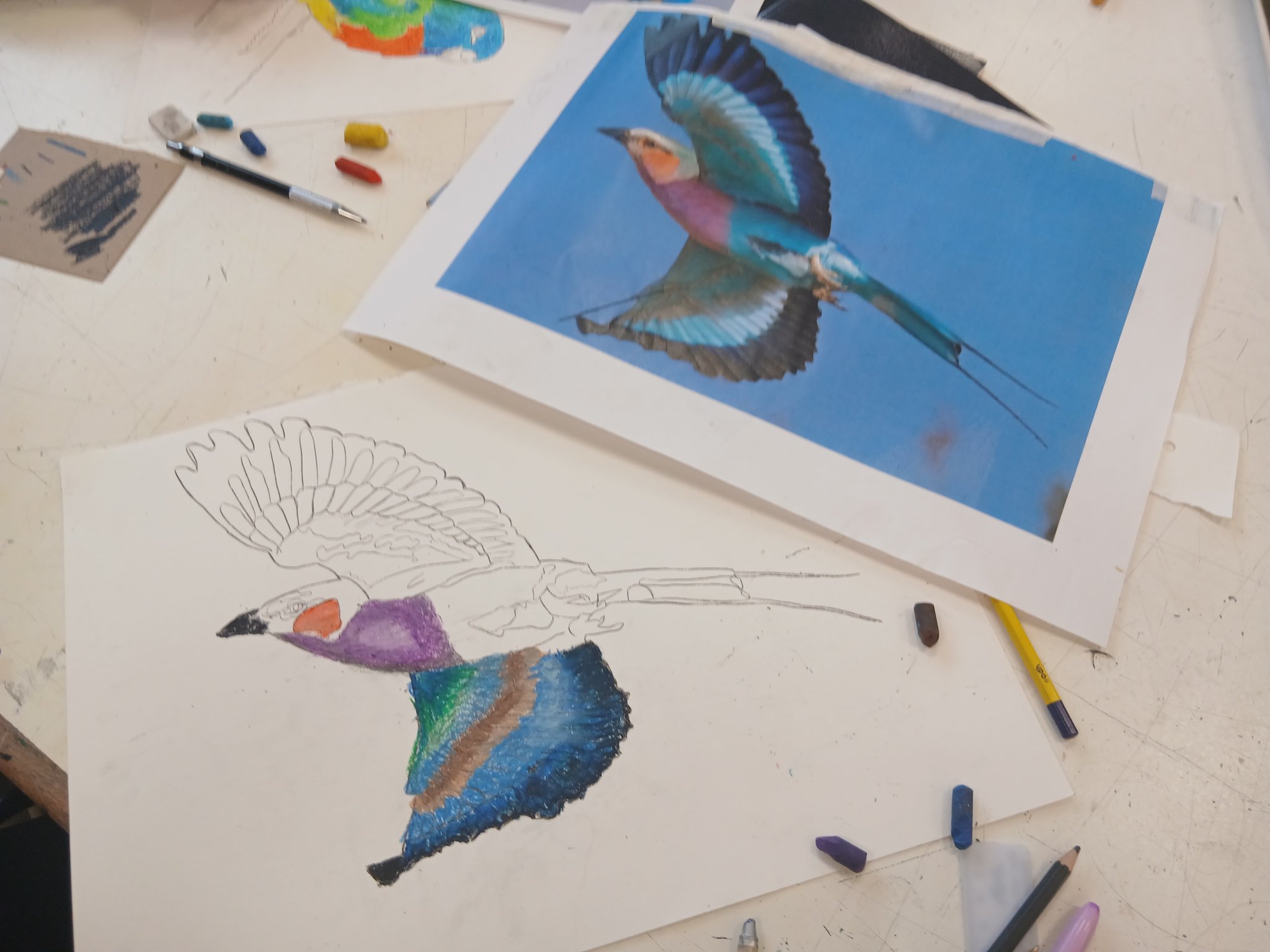 Image of Year 9 Oil Pastel study