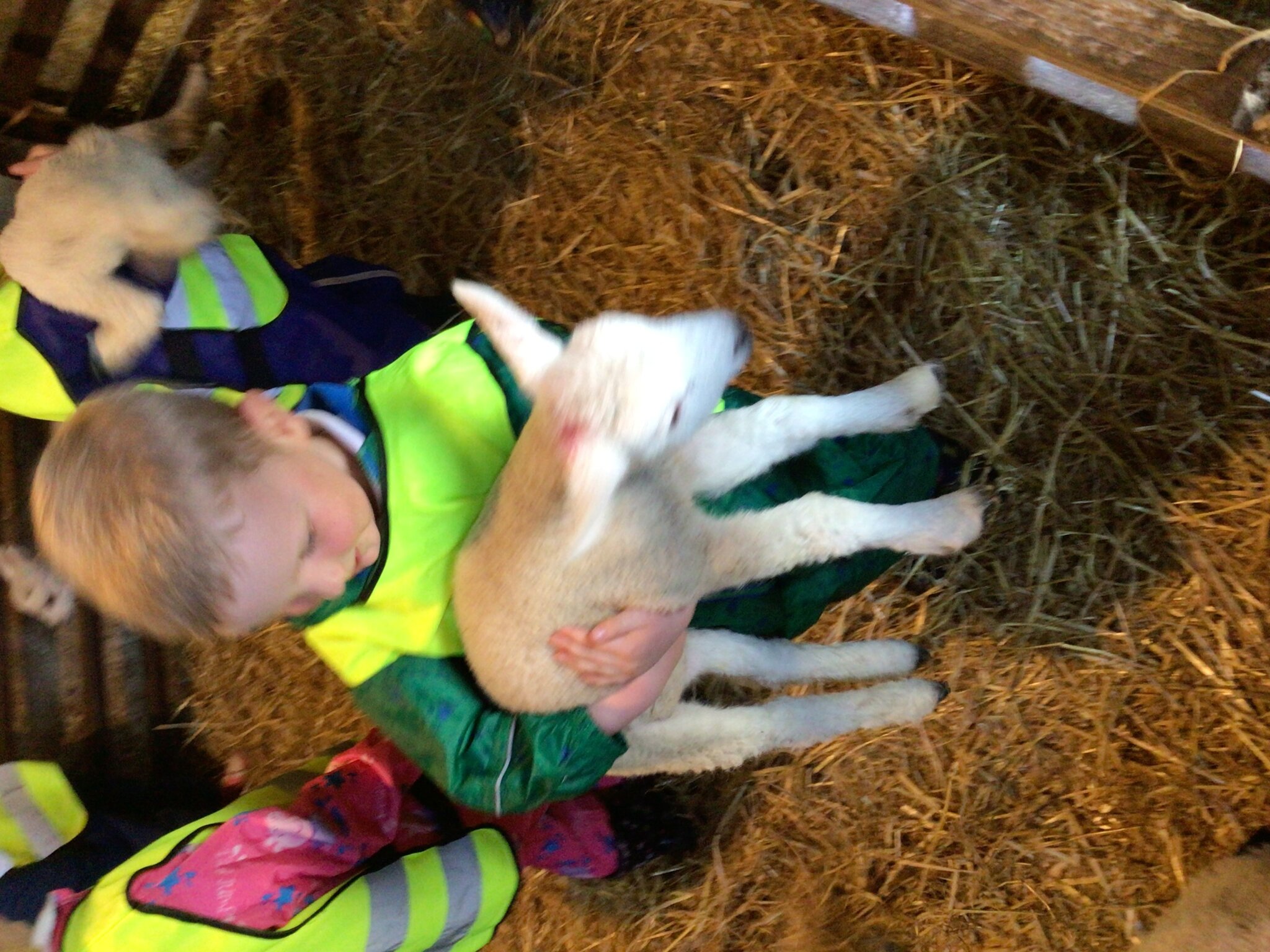 Image of Fun at the farm