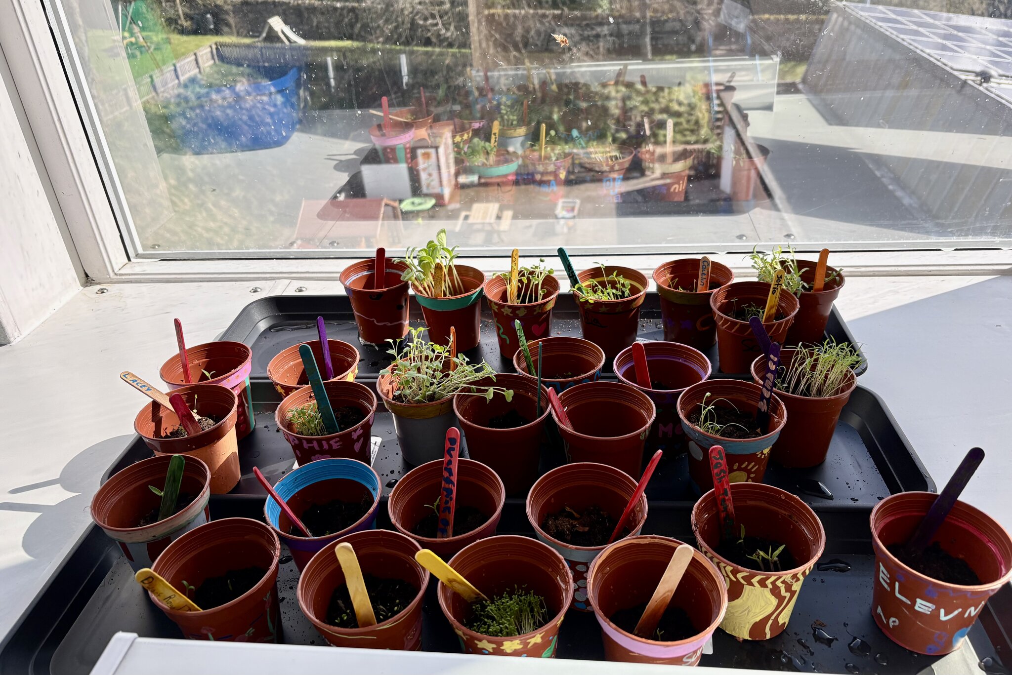 Image of Our Food room kitchen garden!