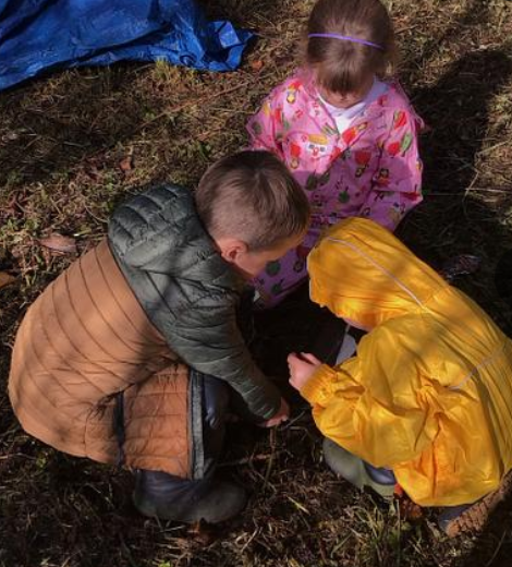 Image of Outdoor learning