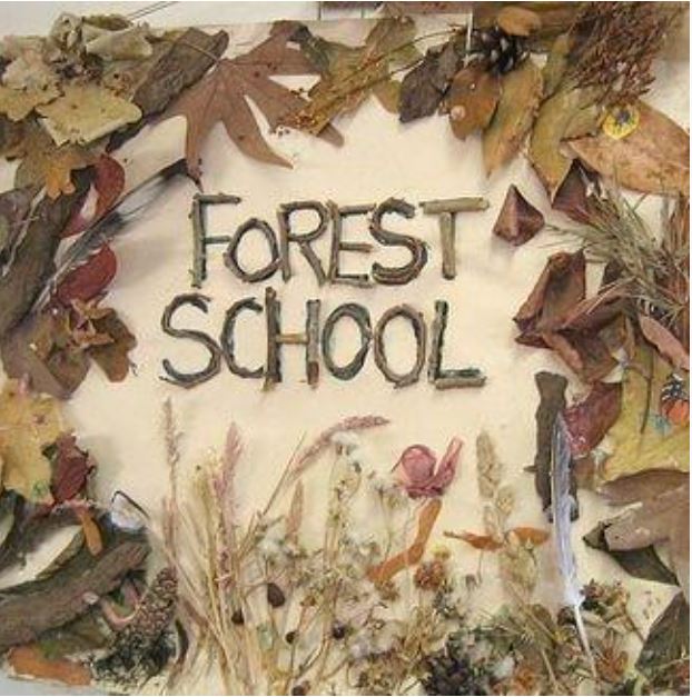 Image of Forest School