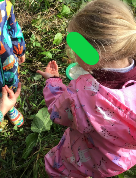 Image of Park Fell's Forest School fun