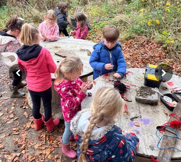 Image of Forest school