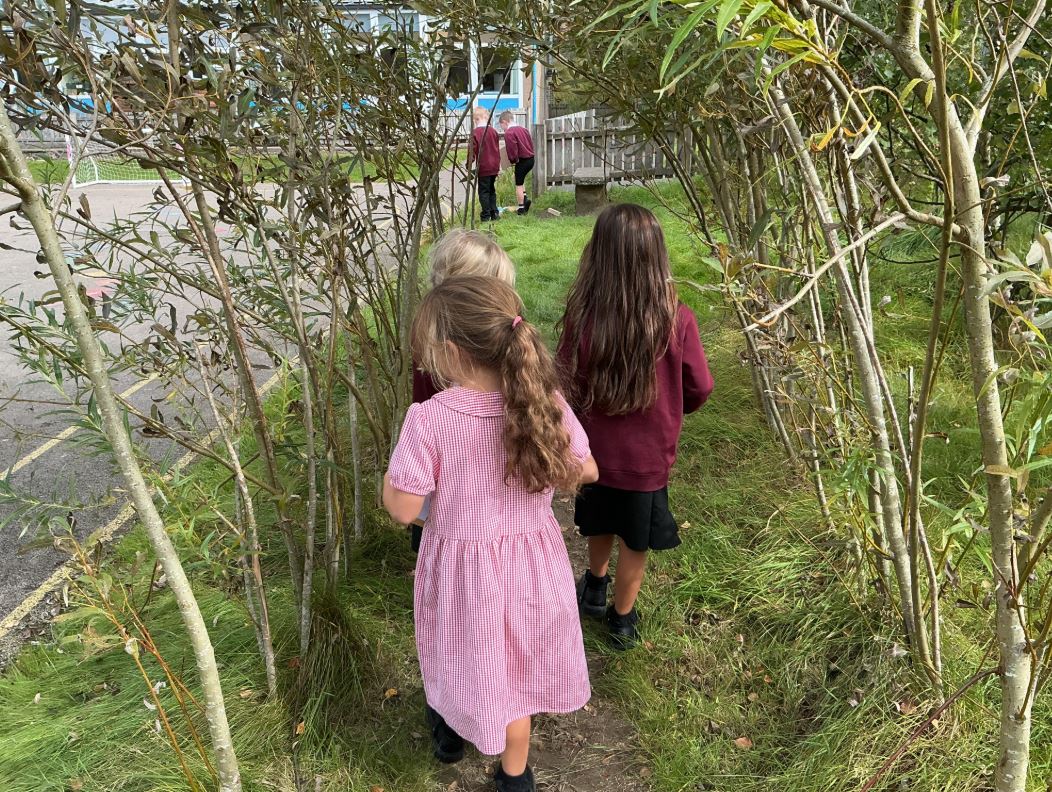 Image of Exploring our school grounds