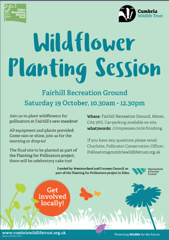 Image of Wildflower planting session